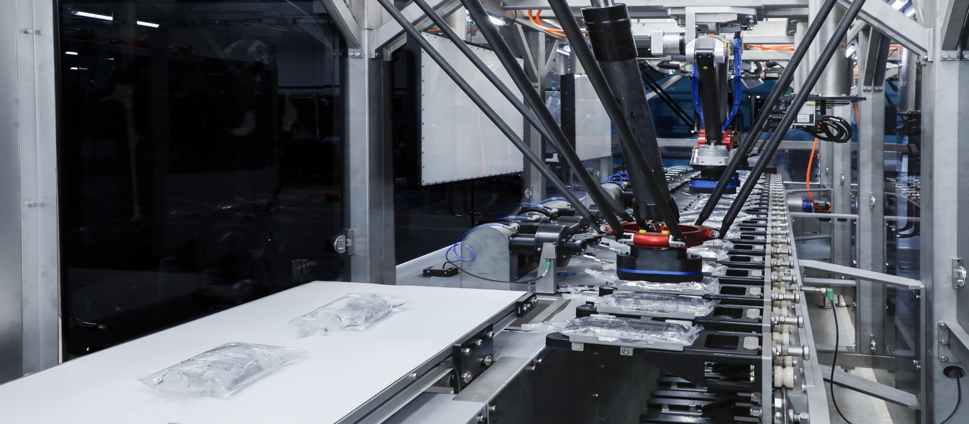 Rotary inspection machines for flexible IV bags for the pharmaceutical industry